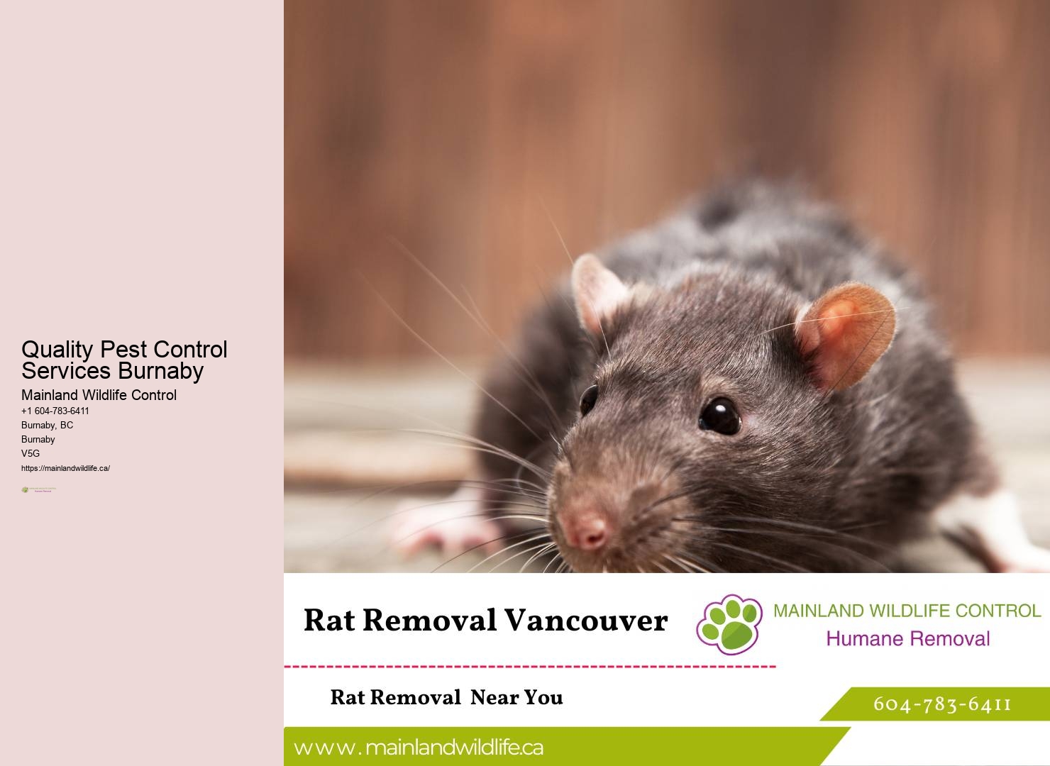 Reliable Residential Pest Control Burnaby