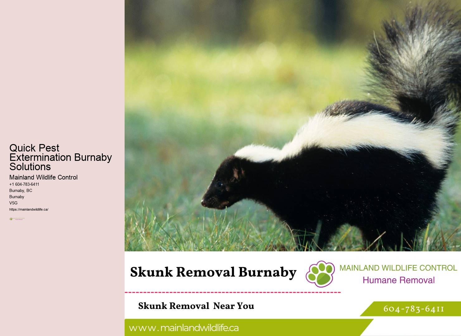 Comprehensive Residential Pest Extermination Burnaby