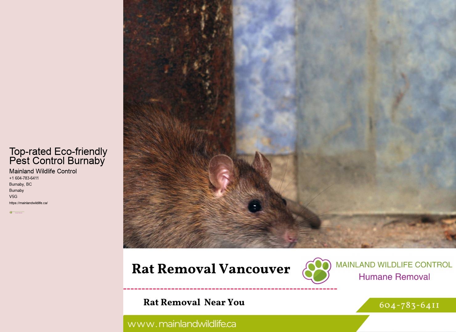 Proven Commercial Pest Extermination Burnaby