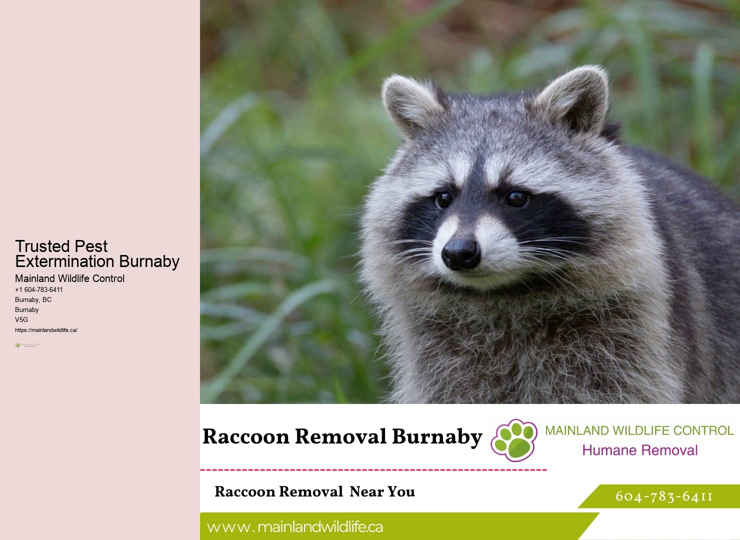 Comprehensive Residential Pest Prevention Burnaby
