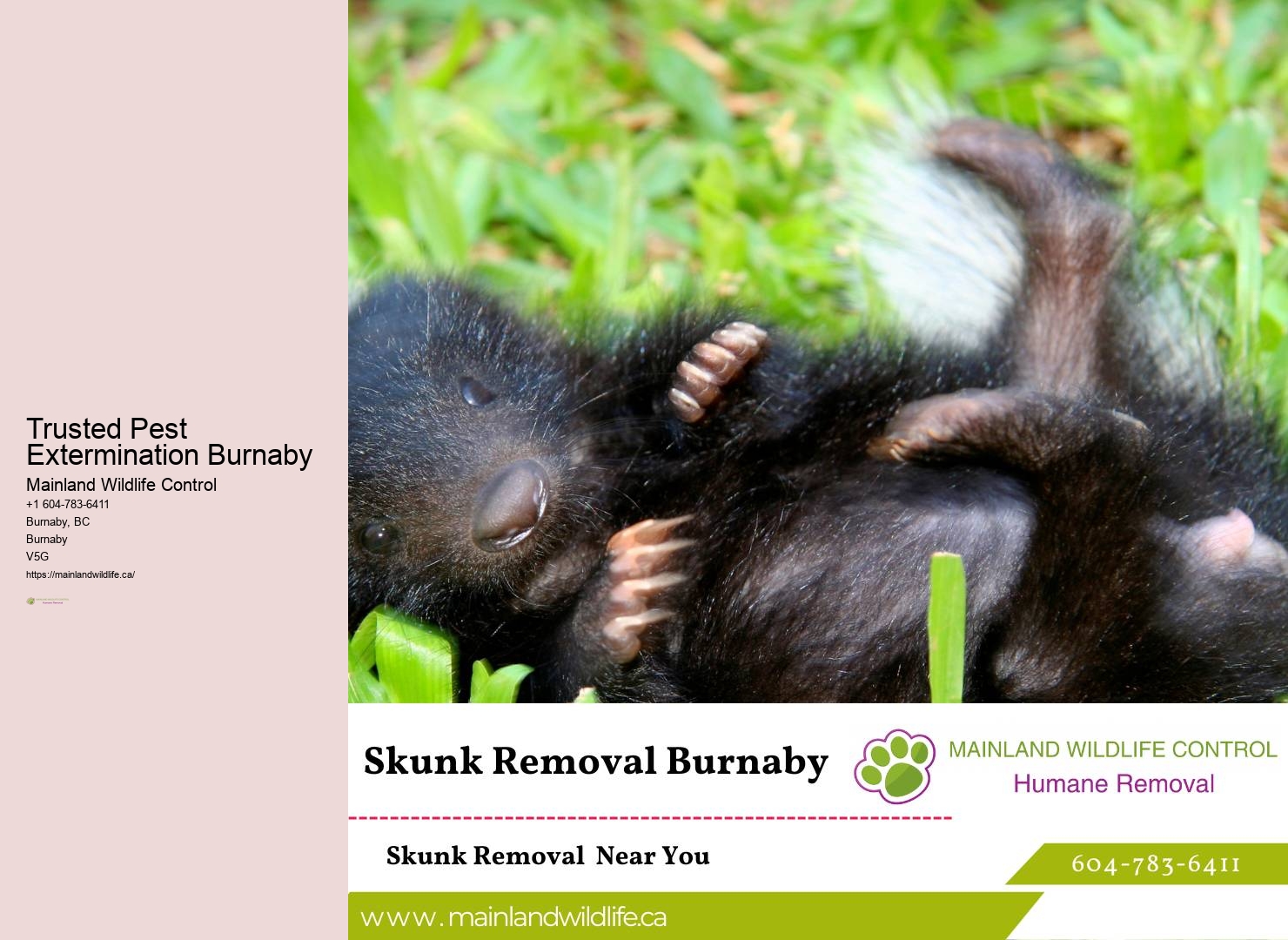 Automated Pest Control Systems Burnaby