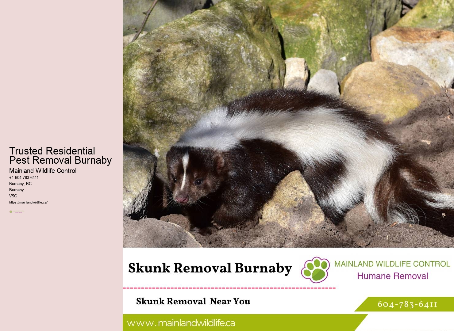 Insured Pest Control Burnaby